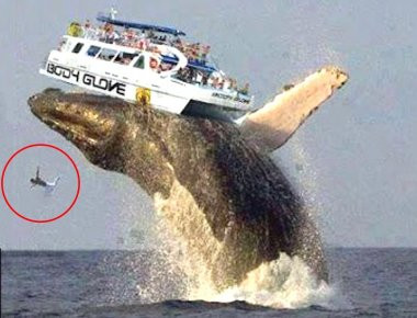 Τα πιο σοκαριστικά ατυχήματα που έχουν καταγραφεί σε κάμερα! (βίντεο)